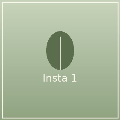 Instagram-Beitrag