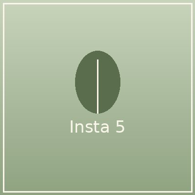Instagram-Beitrag