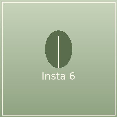 Instagram-Beitrag