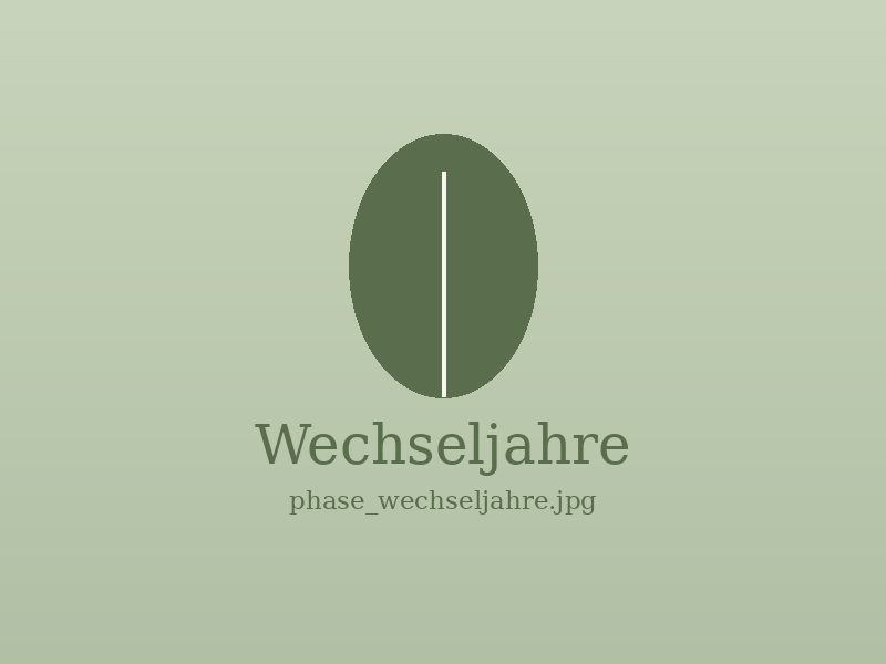 Wechseljahre